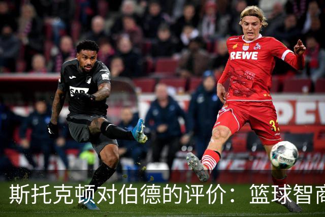 斯托克顿对伯德的评价：篮球智商与比赛理解力的深刻分析